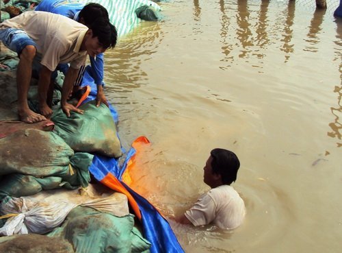 24 người chết vì lũ ở đồng bằng sông Cửu Long