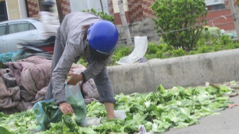 Cơm sinh viên: Thịt ôi, rau nát, gạo hẩm