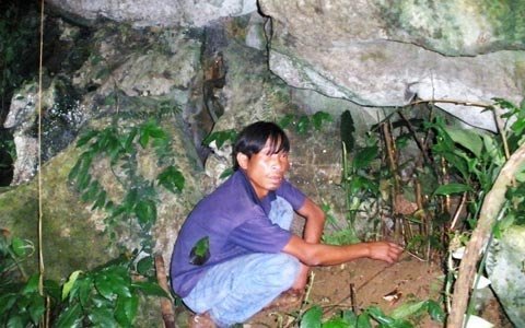 Chuột đá tuyệt chủng bị làm thịt, ngâm rượu