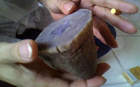 Cú lừa ngoạn mục từ chiếc sừng tê giác