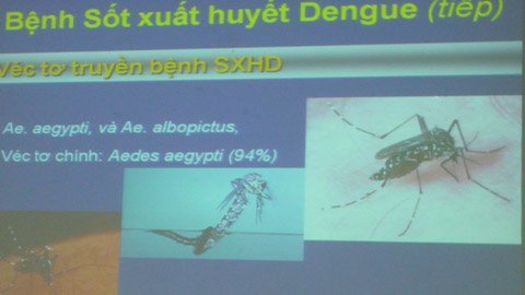 Nhiều người mắc và tử vong do sốt xuất huyết