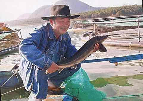 Chuyện ly kỳ của vị doanh nhân từng lĩnh án tử