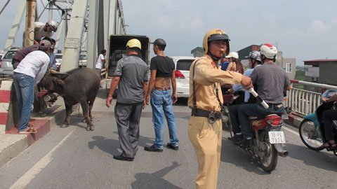 Nóng trong ngày: Quan chức bộ GTVT “vi hành”