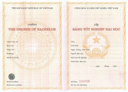 Bằng đại học có lỗi?