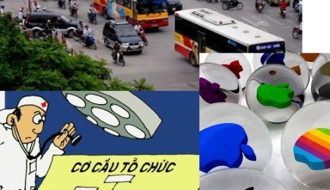 Phát ngôn & Hành động: Vật cản và...Trái cấm