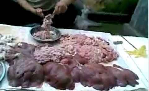 Rùng mình theo chân công nhân đi chợ nội tạng lợn con