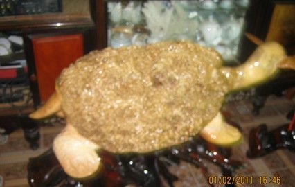 Đô xô đi lùng những lu rừng bí ẩn