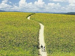 Và thế là con lại phải ra đi