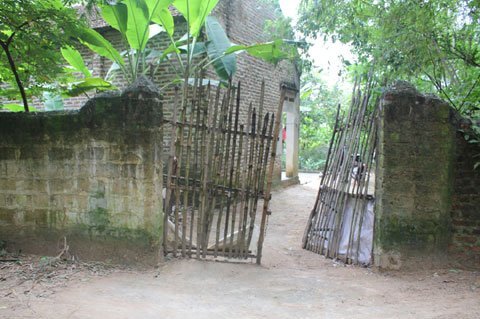 đá gà thomo - Góc Tối và Hiểm Họa Khôn Lường Trong Xã Hội