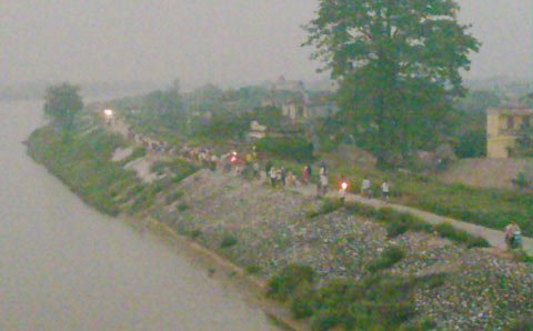 Đổ xô đi xem cá heo lạc vào sông Trà Lý