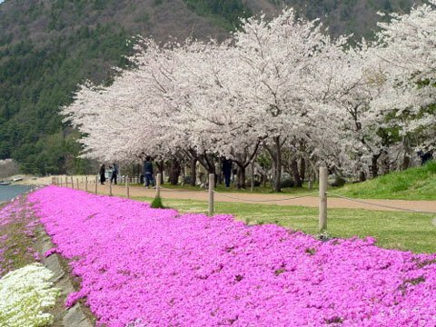 Sông Hồng lọt top thắng cảnh đẹp nhất thế giới