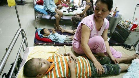 Măng non bị ung thư máu hoành hành