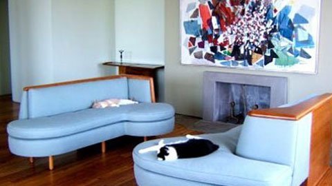 Mẹo để nhà đẹp khi nuôi thú cưng