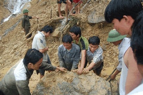 Những 'ốc đảo' nơi rừng thẳm