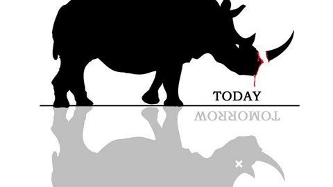 Hàng loạt poster Việt Nam kêu gọi ngừng sát hại động vật