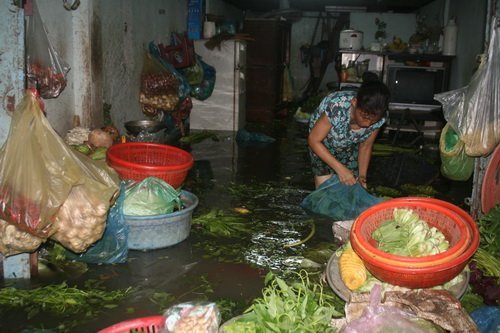 Vỡ đê bao, hàng trăm hộ dân điêu đứng