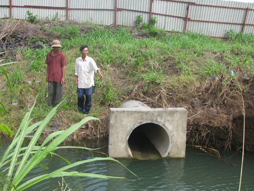 Nhà máy sản xuất ôtô xả chất thải “đốt cháy” lúa