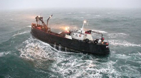 Đi đánh cá, lượm được hơn trăm nghìn đô la