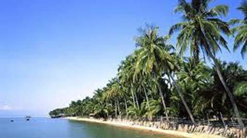 Biển đảo trong hồn