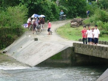 Tiếng khóc xé lòng giữa rừng thẳm