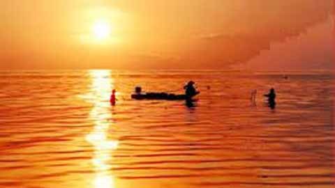 Trong nhấp nháy đèn chài