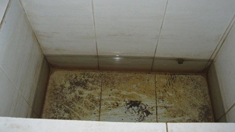 Ám ảnh sinh viên dùng nước bẩn vệ sinh vùng kín