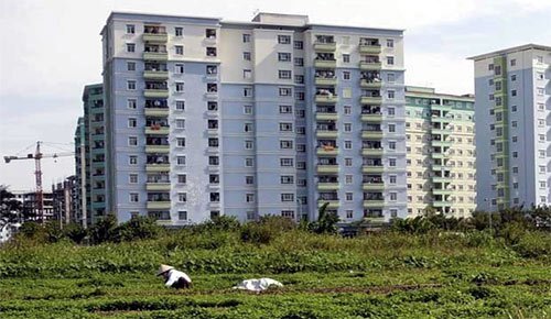 Địa ốc 'thi gan' và tìm cách thoát thân