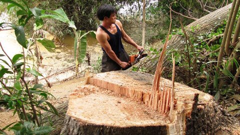 Dân hãi hùng ảnh nước “ăn” bờ sông Hương