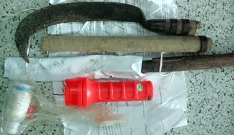 Cuồng sát cả nhà bố vợ