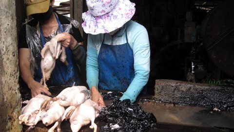 Đột nhập nơi “giam” nhà báo trong xưởng vịt