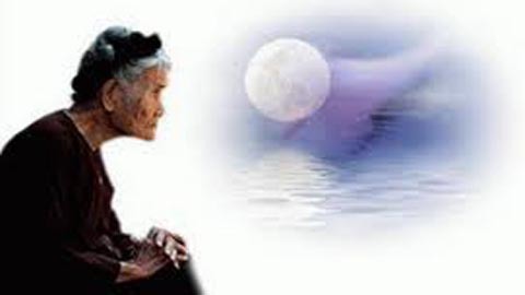 Cúi đầu lạy mẹ