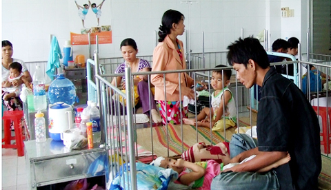 Ninh Thuận có thể phát sinh ổ dịch TCM mới