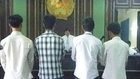 Kỳ án vườn điều: Hủy án vì vi phạm tố tụng