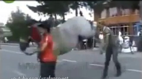 Những pha nghịch dại ngu ngốc đến khó tin