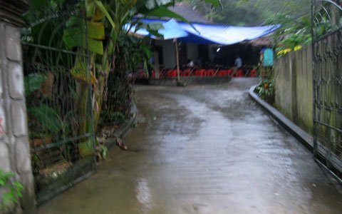 Con giết cha vì con trâu