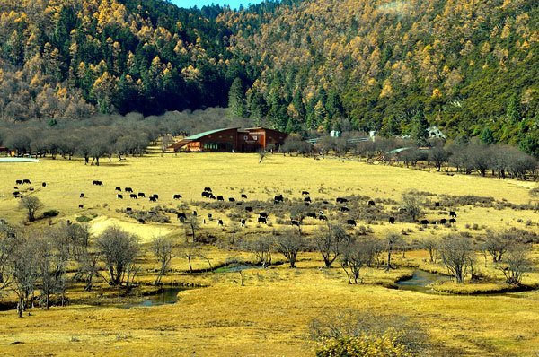 Bitahai - Miền cổ tích trên núi cao