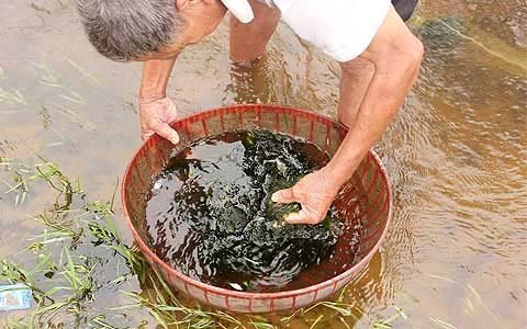 Mỏ sắt lớn nhất ĐNA: 'Có nơi nào khổ như chúng tôi không?'