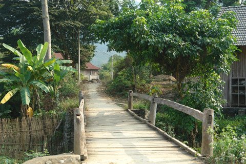 Gặp gia đình phát điên vì tìm được kho báu