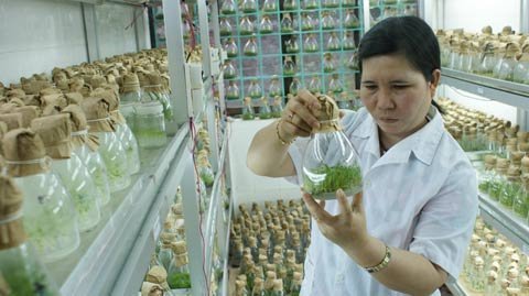 Truyền thông - cầu nối giữa KH&amp;CN với thực tế