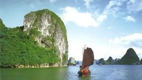 Con nguyện làm cánh sóng