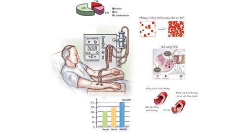 Dinh dưỡng đặc biệt cho người lọc máu ngoài thận