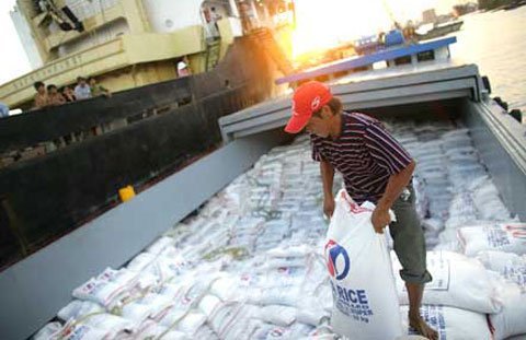 Gạo Việt Nam không chứa chất biến đổi gene