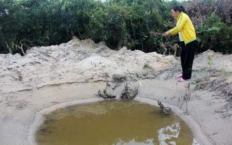 Nóng trong ngày: Lê Hoàng và 'cặp đôi hoàn hảo'