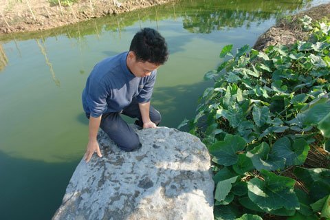Bức văn tự bí ẩn trên phiến đá cổ