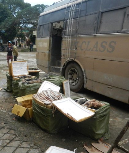 Phát hiện 7 tạ thịt trâu thối có nguồn gốc từ Lào