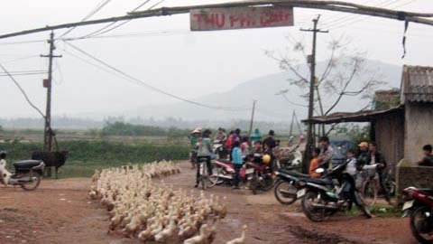 Cây cầu ‘tử thần’ và sự vô cảm