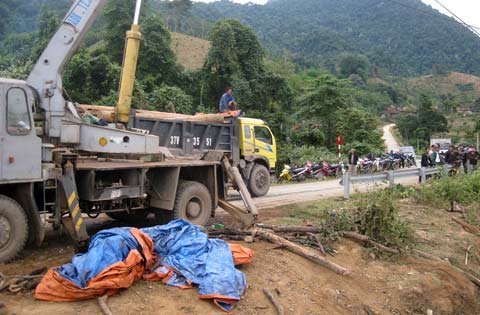 Kiểm lâm Nghệ An mua gỗ lậu từ lâm tặc?