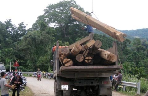 Bắt khẩn cấp 1 trạm trưởng trạm kiểm lâm
