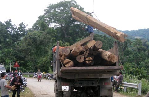 Cục Kiểm lâm kiên quyết thanh lọc đội ngũ