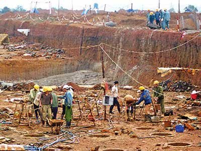 Văn hóa cơ bản và phản biện xã hội